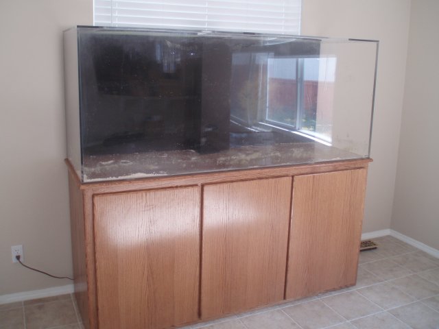 Full Tank View.JPG Full Tank View.JPG