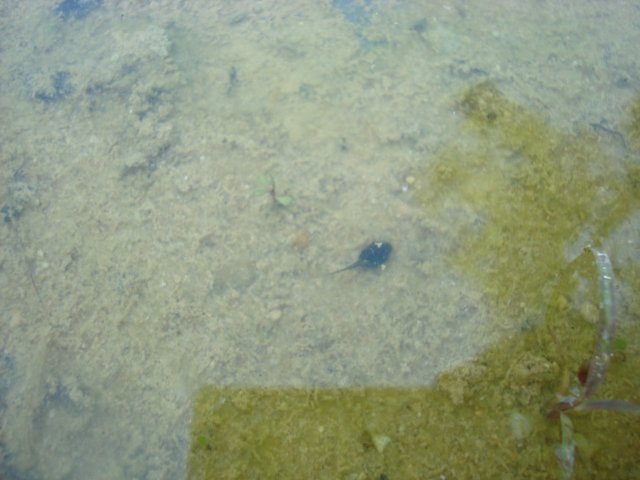 DSC08880.JPG