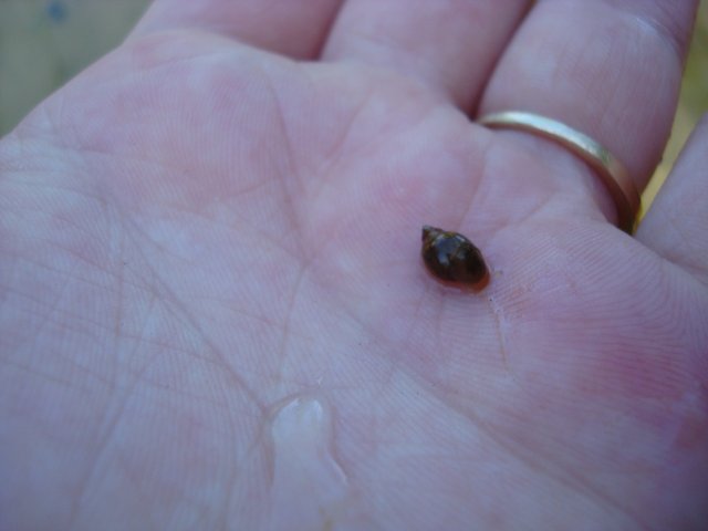 DSC08881.JPG