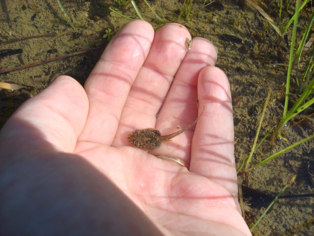 DSC08887.JPG