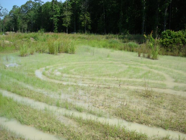 DSC08902.JPG