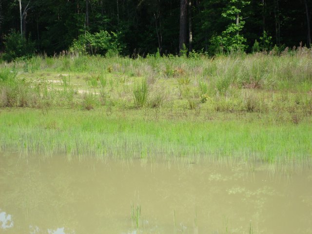 DSC08904.JPG