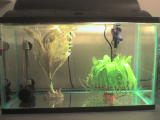DSC02140.JPG