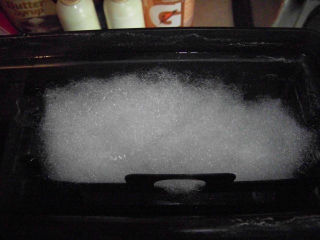 100_0288.jpg