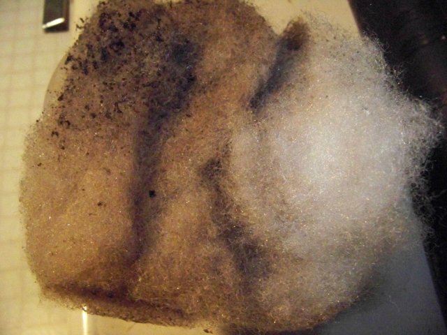 100_0285.jpg