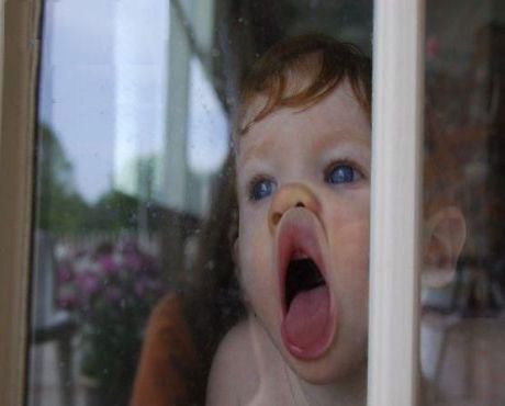 Window%20Licker.jpg