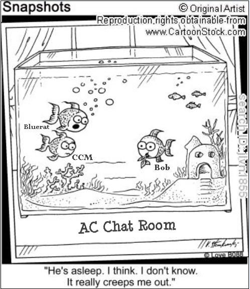 acchat.jpg acchat.jpg