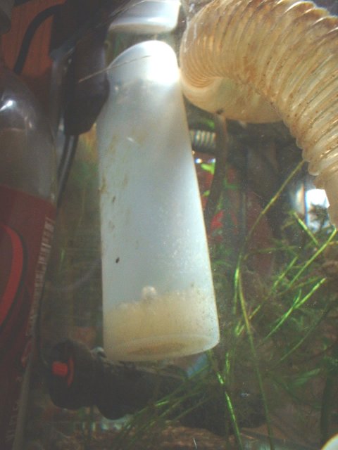 20 jun 09 003a.jpg