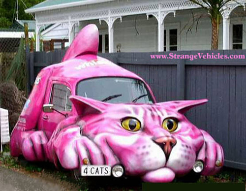 funnycatcar1.jpg