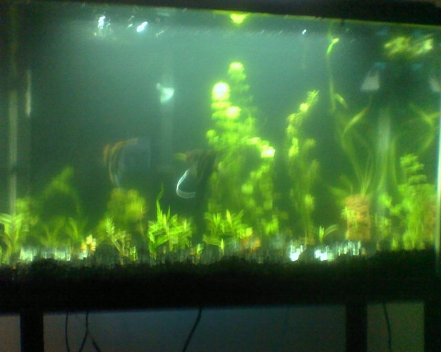 0621091049a.jpg 0621091049a.jpg