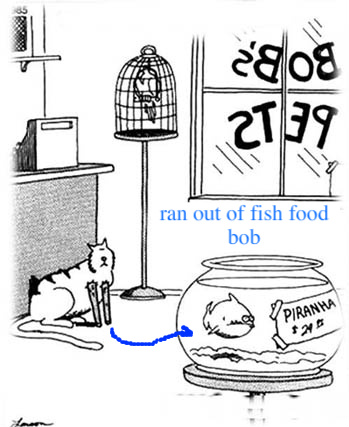 funny_495-1.jpg