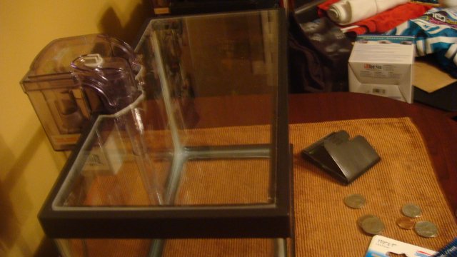 DSC05549.JPG DSC05549.JPG