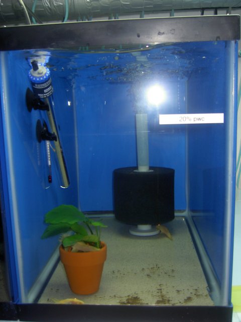 PICT0594.JPG PICT0594.JPG