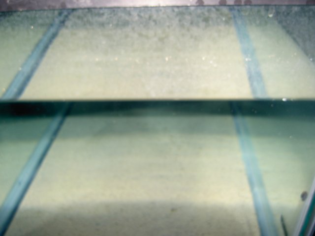 PICT0593.JPG PICT0593.JPG