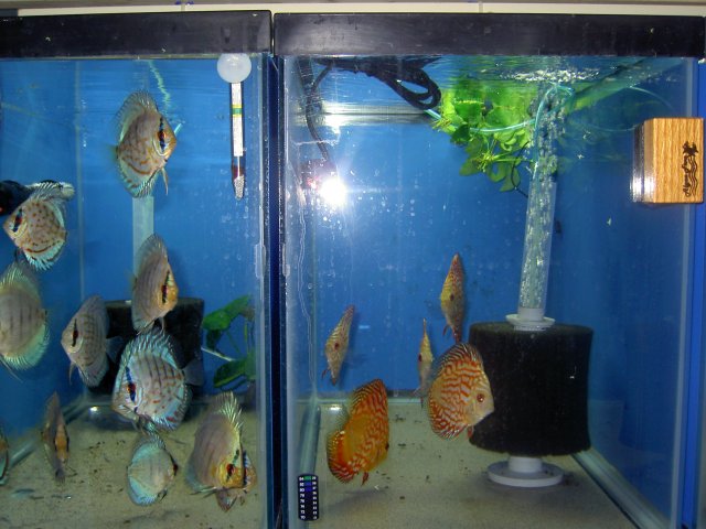 PICT0588.JPG PICT0588.JPG