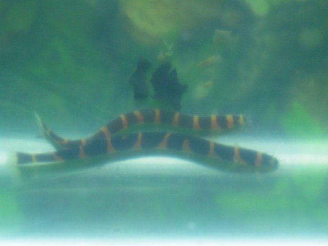 DSCN2016.JPG