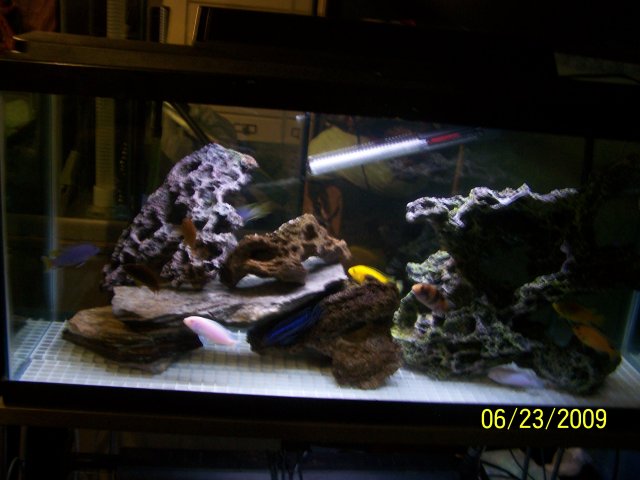 100_1643.JPG 100_1643.JPG