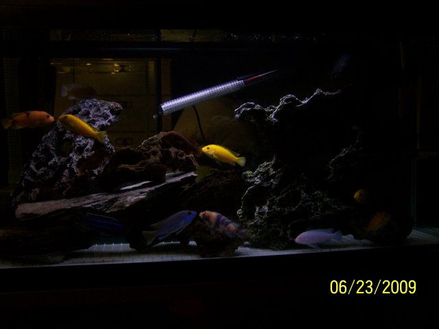 100_1645.JPG 100_1645.JPG