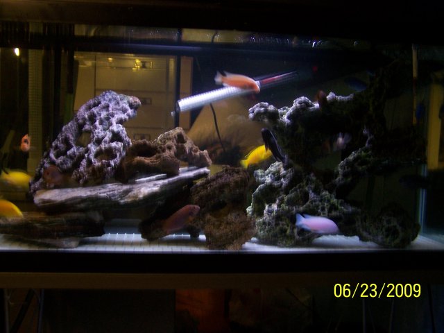 100_1647.JPG 100_1647.JPG