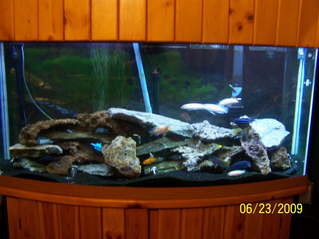 100_1649.JPG 100_1649.JPG