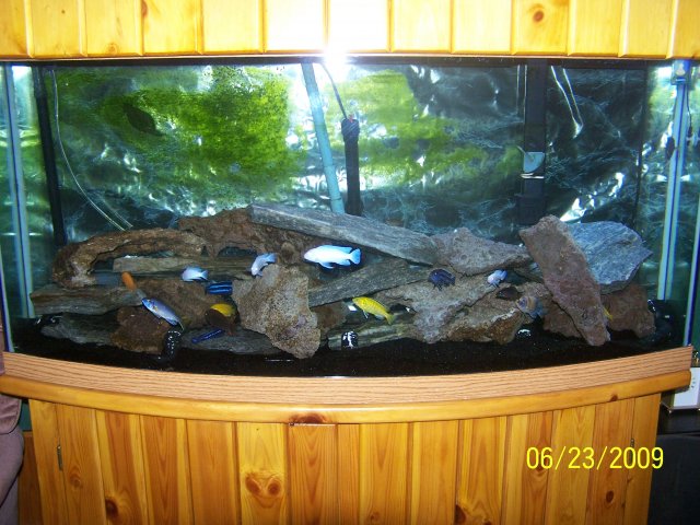 100_1651.JPG 100_1651.JPG
