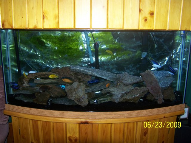 100_1652.JPG 100_1652.JPG