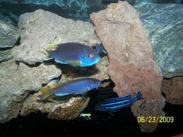 100_1656.JPG 100_1656.JPG
