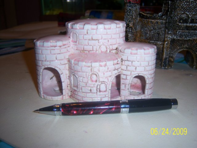 100_2065.jpg