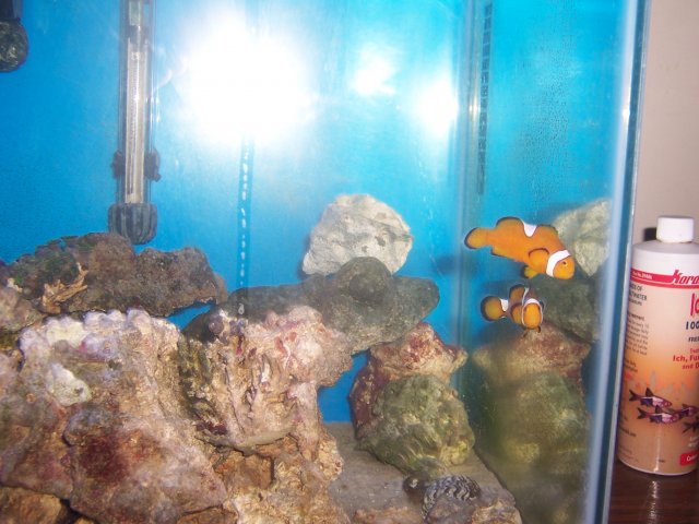 100_0299.JPG