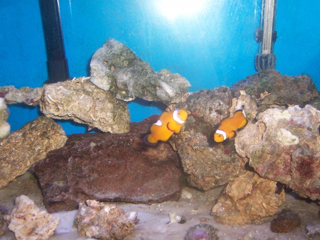 100_0290.JPG
