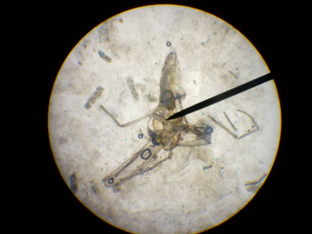 HPIM0987.JPG