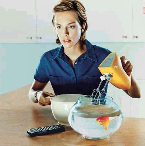 goldfish_soup.jpg