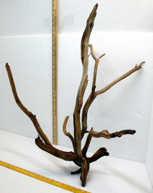 XLG STUMP PKG 20 OVERALL0001.JPG XLG STUMP PKG 20 OVERALL0001.JPG