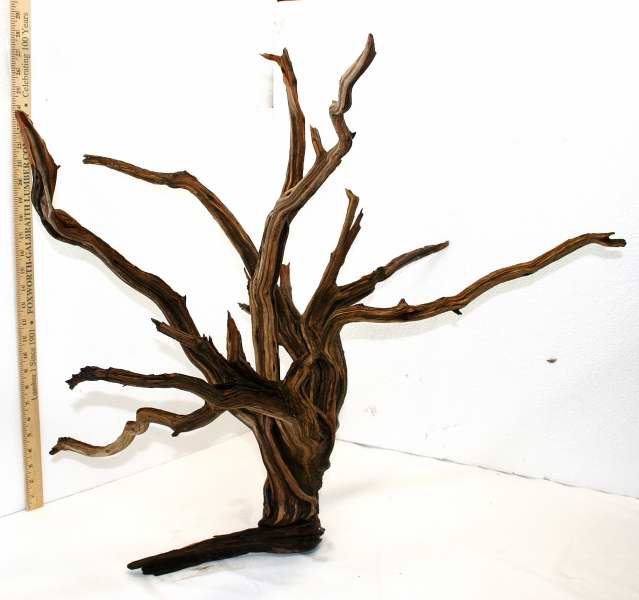 XLG STUMP PKG 21 OVERALL0001.JPG XLG STUMP PKG 21 OVERALL0001.JPG