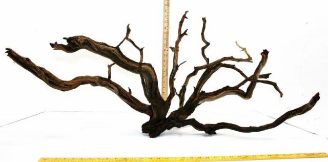 XLG STUMP PKG 22 OVERALL 0001.JPG XLG STUMP PKG 22 OVERALL 0001.JPG