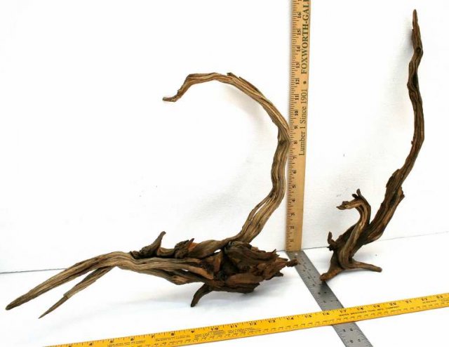 NANO STUMP PKG 45 SIDE0001.JPG NANO STUMP PKG 45 SIDE0001.JPG