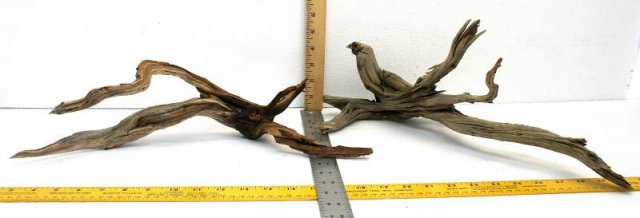 NANO STUMP PKG 44 OVERALL 0001.JPG NANO STUMP PKG 44 OVERALL 0001.JPG