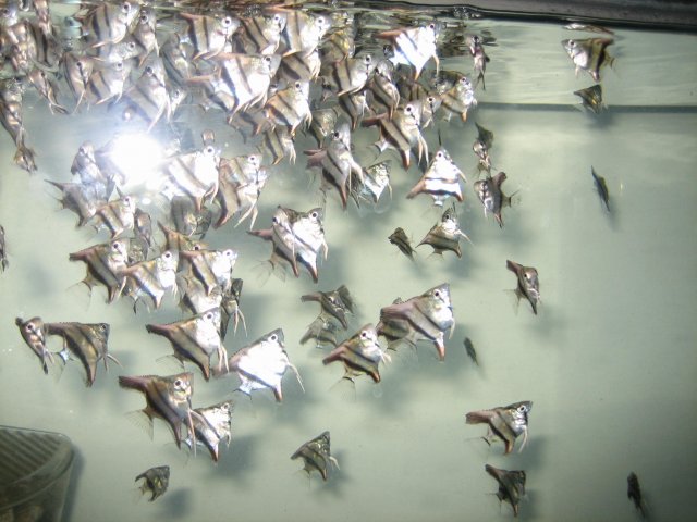 20090628_0302.JPG