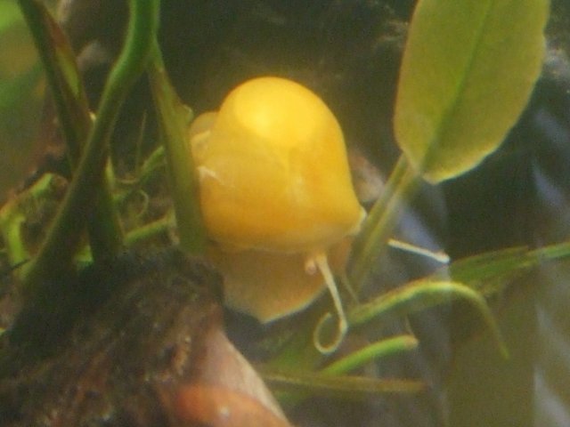 forumsnail.jpg