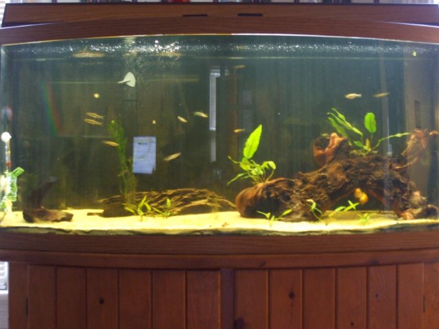 full tank forum june 29.jpg