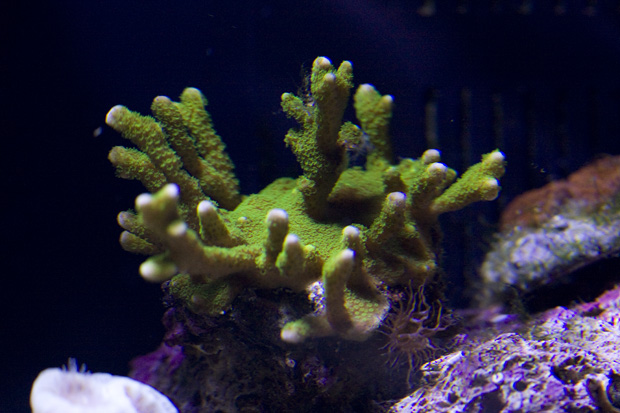 IMG_9871.jpg