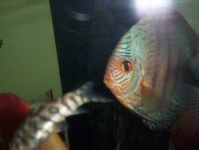 worm 003.JPG