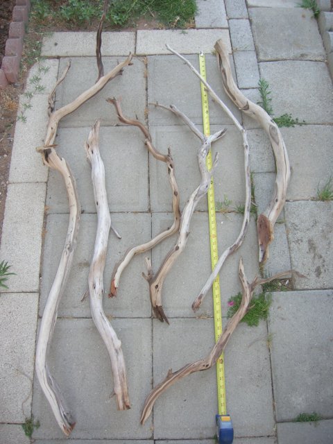 DSCN4272.JPG