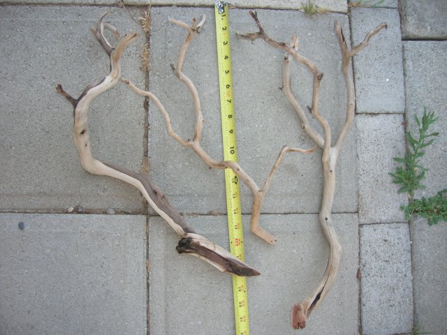DSCN4274.JPG