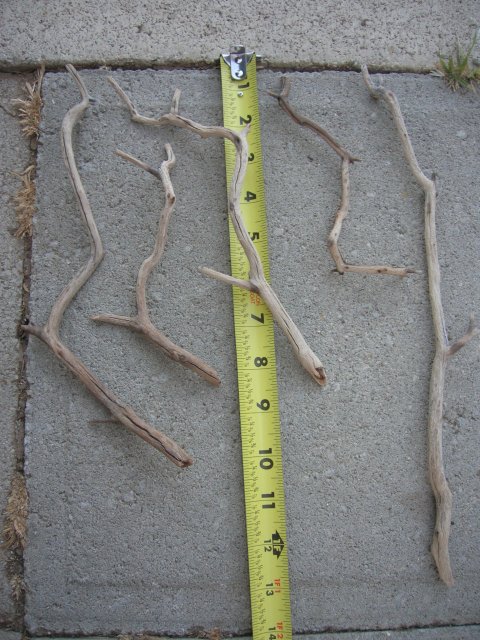 DSCN4275.JPG