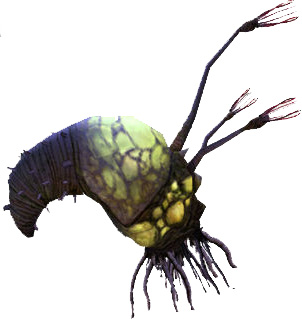 Flood_Infection.jpg