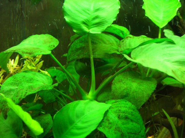 DSCN4322.JPG