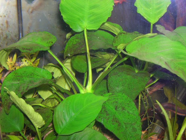 DSCN4323.JPG