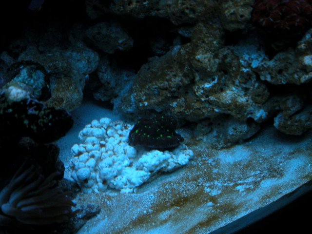 038-1024.jpg