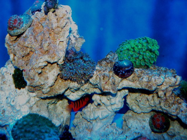 046-1024.jpg